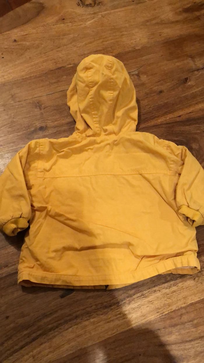 Veste 1 an - photo numéro 6