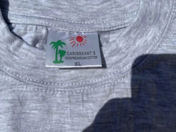 T shirt de Saint Martin gris peu porté - photo numéro 4