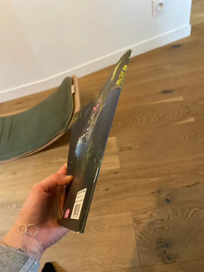 Livre - photo numéro 6