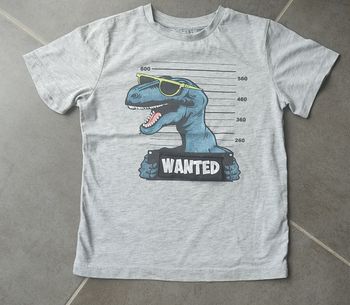 Tshirt dinosaure 8 ans