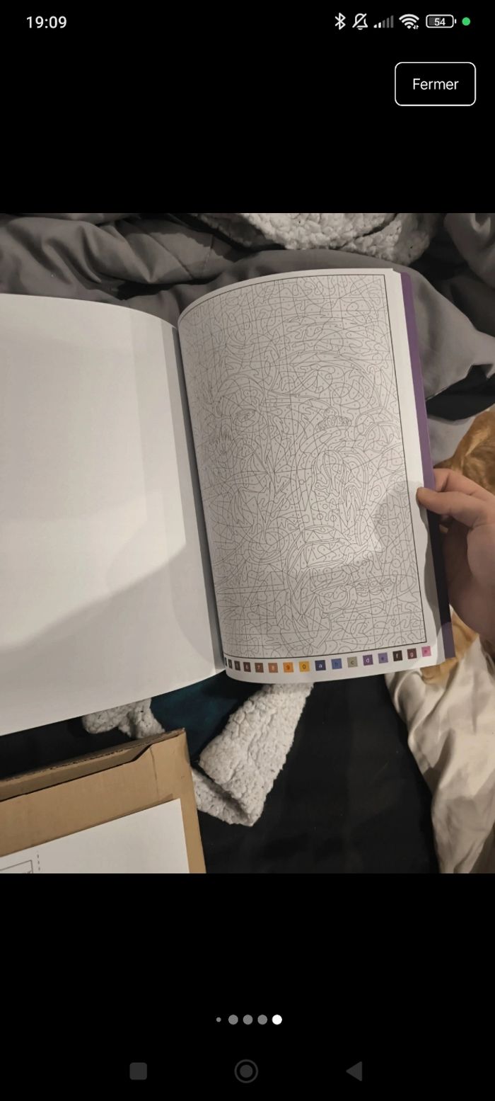 Livre de coloriage mystère la belle et la bête - photo numéro 2