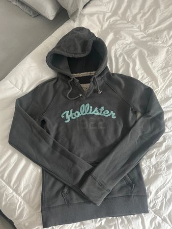 Sweat Hollister