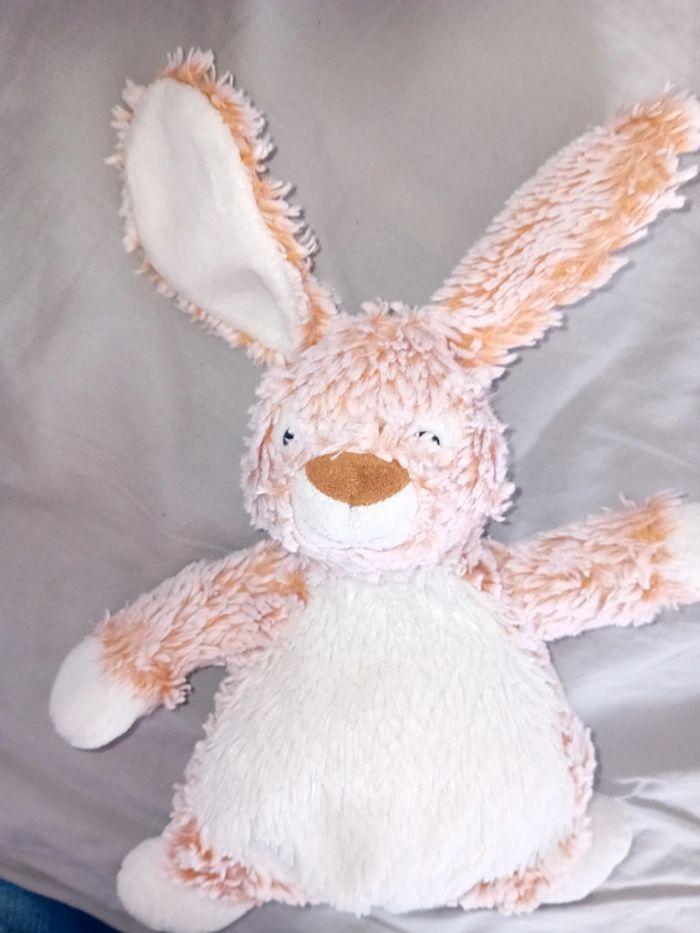 Lapin - photo numéro 2