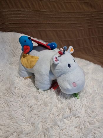 Axel l'hippo oxybul activités sensorielles Lavé, propre