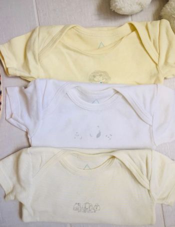 Lot de 3 bodies 6 mois Grain de blé