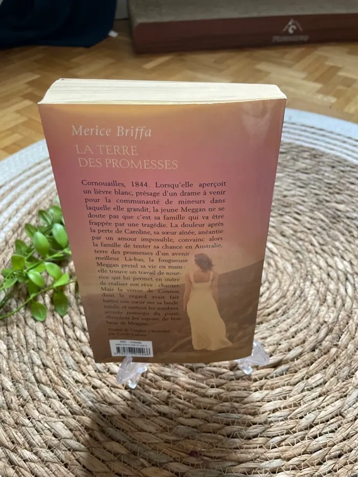 Livre - la terre des promesses - photo numéro 2
