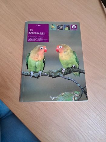 Livre oiseaux inséparables