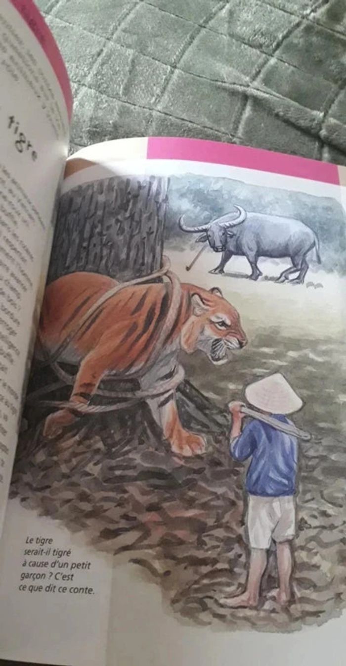 Superbe lot d' ouvrages animalier / Le Tigre / L' éléphant / Jeunesse. - photo numéro 15