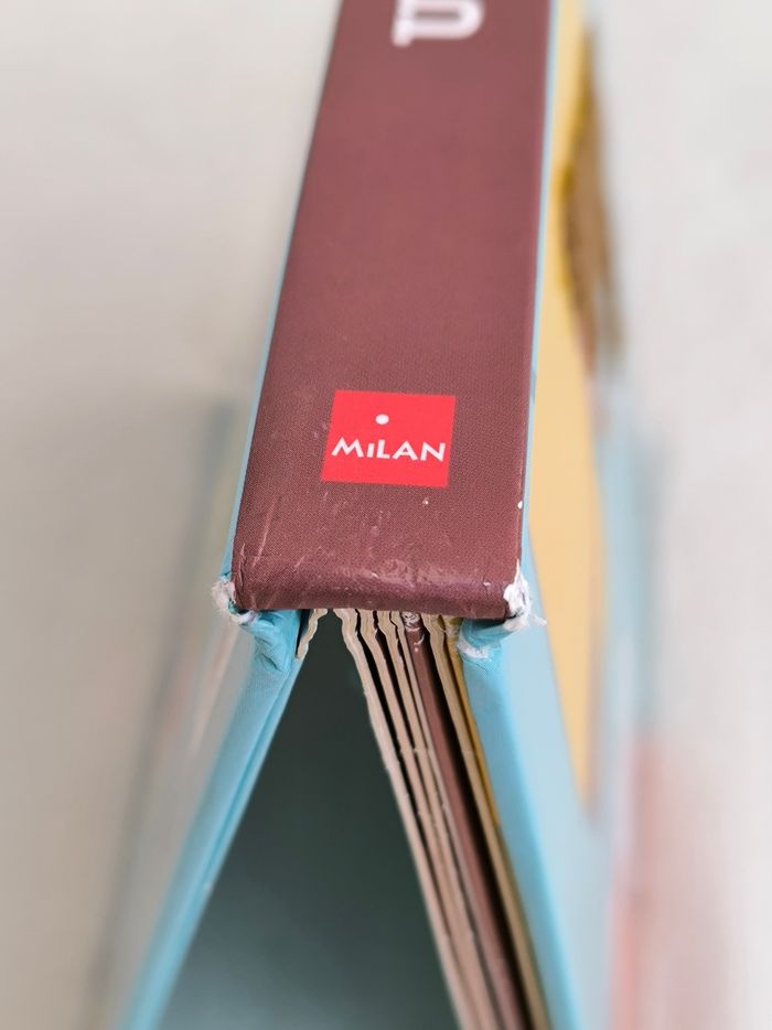 Livre Un grand cerf Milan - photo numéro 9