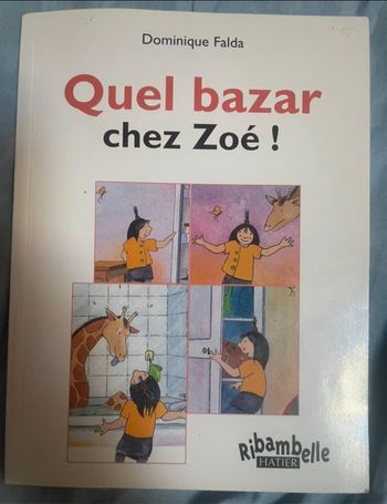 Livre « quel bazar chez Zoé »