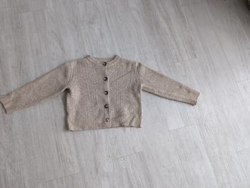 Gilet zara
