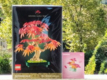 Lego bonsaï d'érable rouge du Japon et bonsaï rose