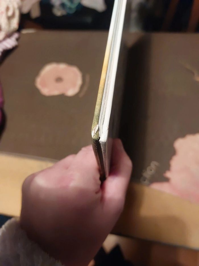 Livre maman ours et petit ours - photo numéro 4