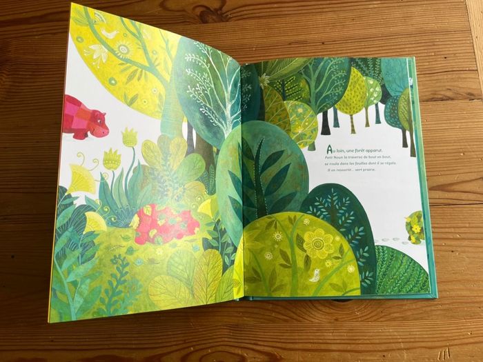 Livre Petit Noun - photo numéro 7