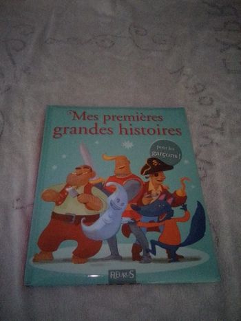 Livre  Mes premières grandes histoires pour les garçons !   Fleurus