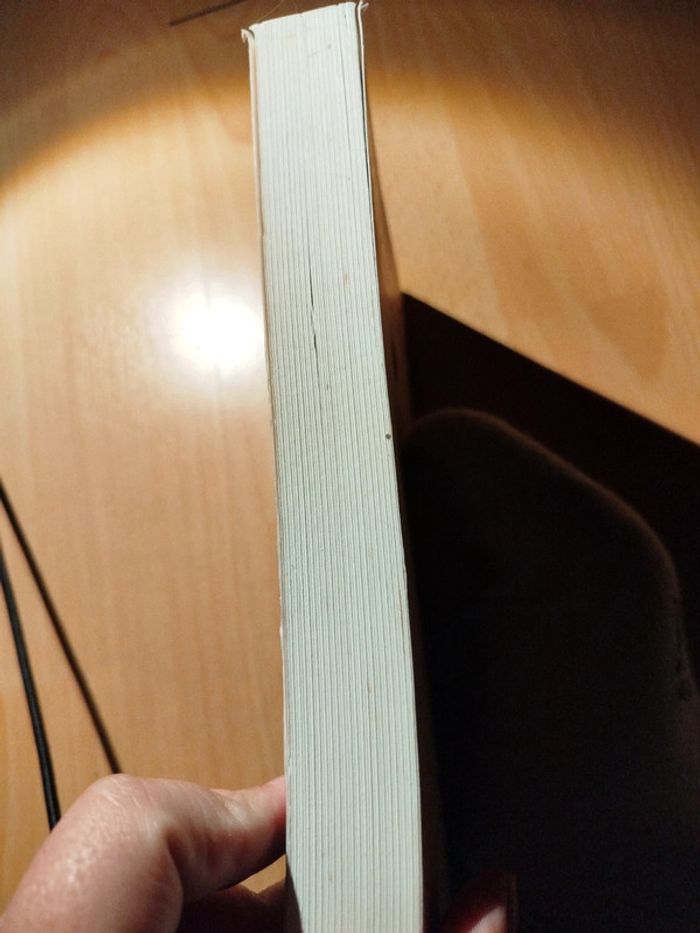 Une irrésistible envie de dire oui roman - photo numéro 2