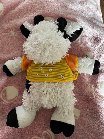 Vache bouclette