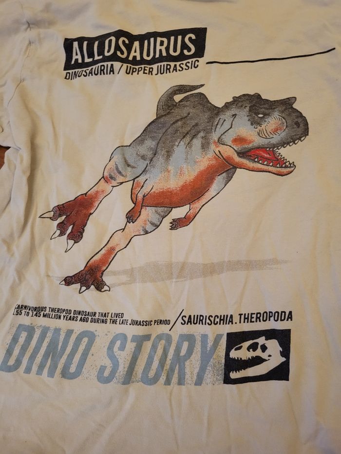 Tee-shirt manches longues 10ans garçon - photo numéro 2