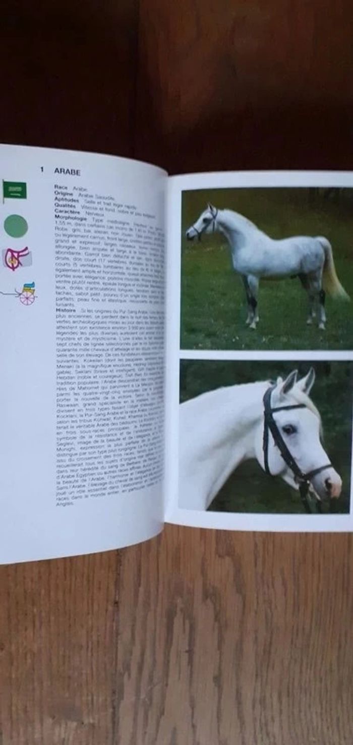 🐴 Les chevaux - photo numéro 3