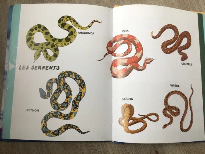 Le Dico des animaux - photo numéro 6