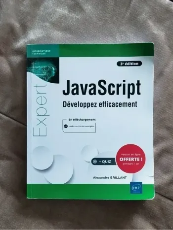 JavaScript développez efficacement 3e édition