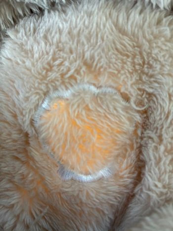 Loutre Fisher Price - photo numéro 5