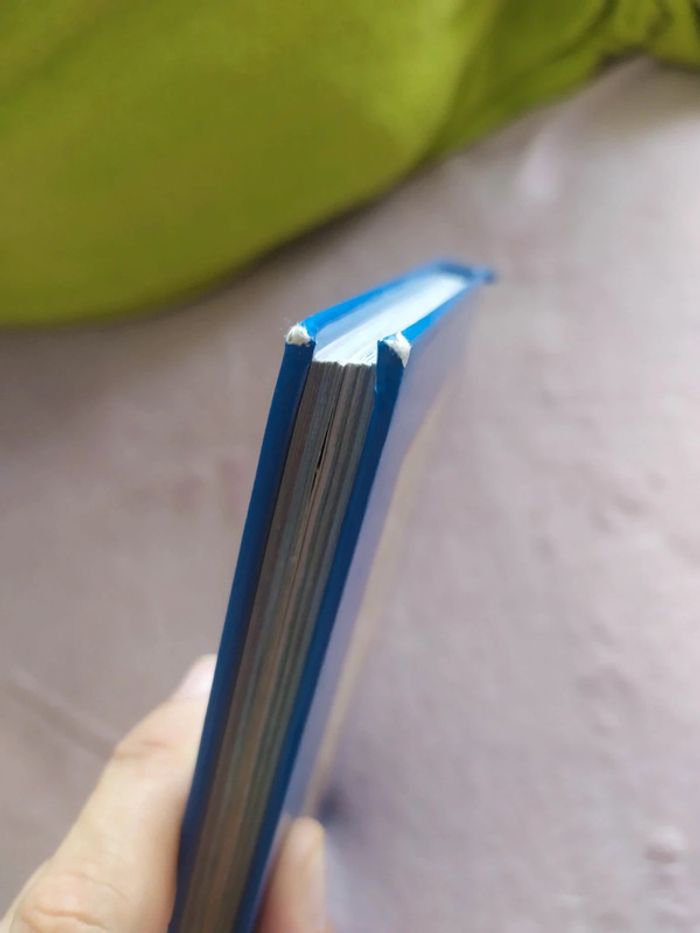 Livre Roi Lion - photo numéro 6