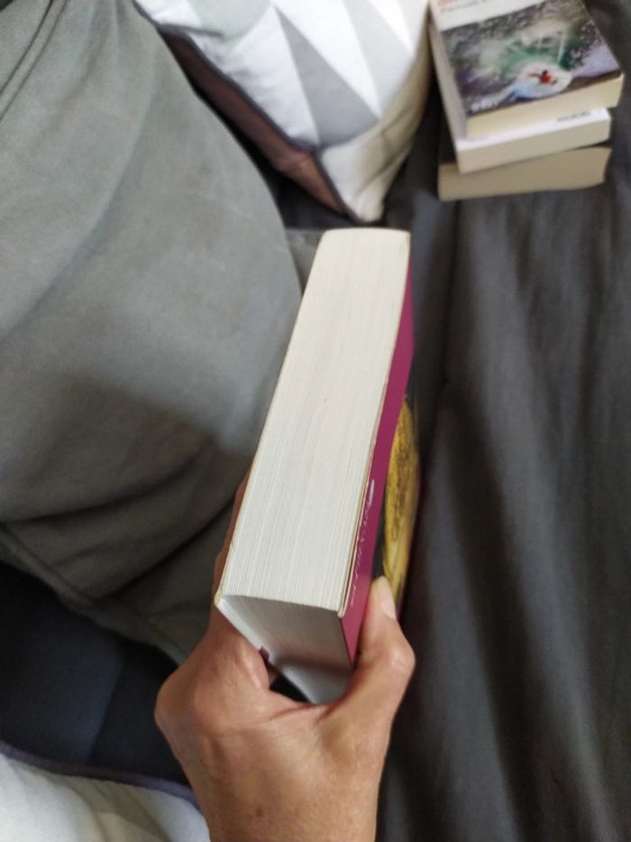 Mademoiselle de Paquelin de Jocelyne Barthel - photo numéro 6