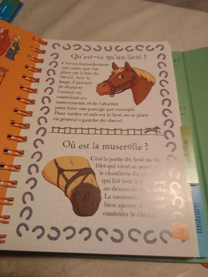 Dis-moi les Chevaux - photo numéro 4