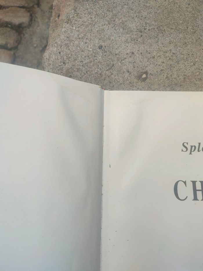 Livre la splendeurs du cheval - photo numéro 7