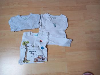 Lot 3 bodies ml