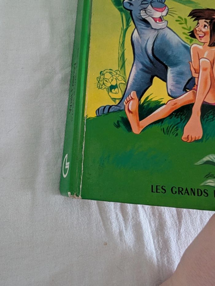 Livre : Le livre de la jungle - Hachette - photo numéro 10
