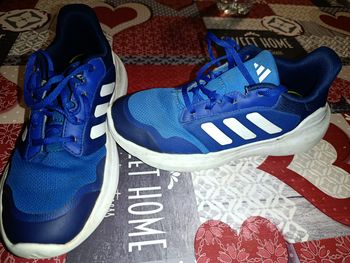Basket adidas taille 38