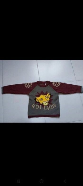Pull Roi Lion 4 ans