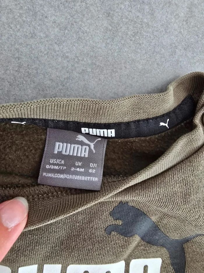 Ensemble Puma kaki - photo numéro 4