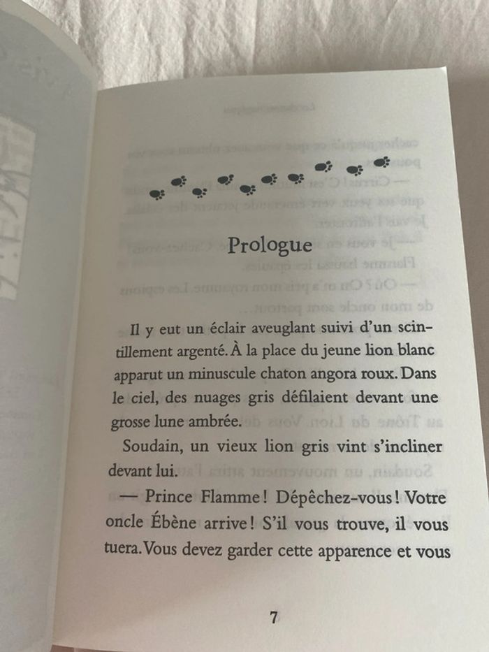 Les chatons magiques - photo numéro 3