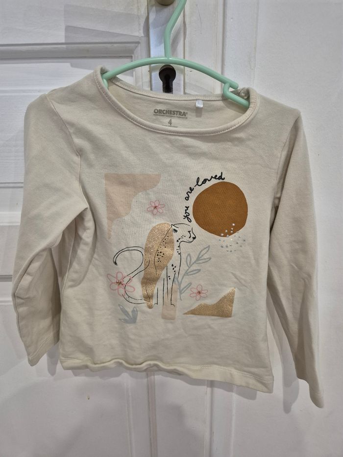 Lot de 9 tee shirt manches longues 4 ans (diverses marques) - photo numéro 5