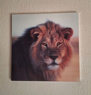 Tableau en 3D lion