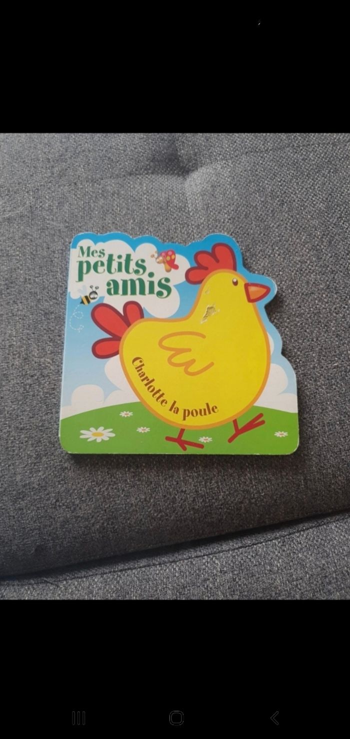 Livre Mes Petits Amis