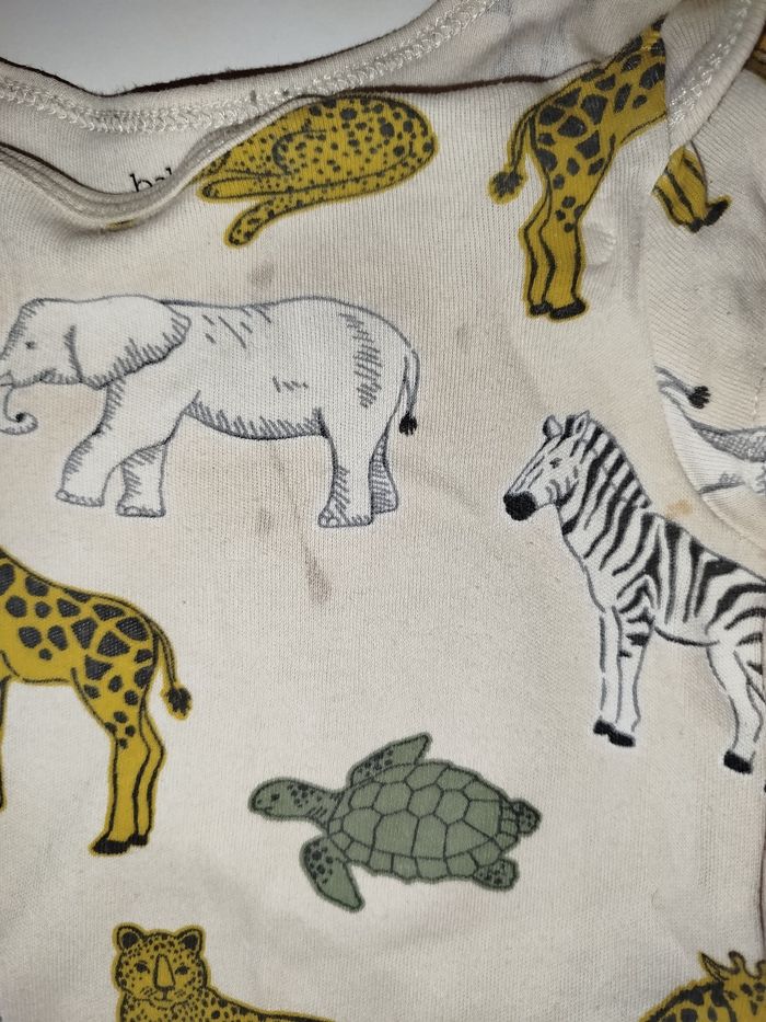 Lot body - photo numéro 3