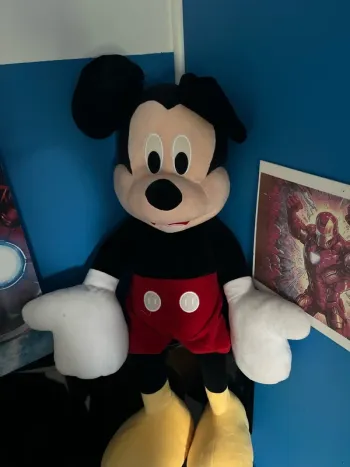 Grand Mickey