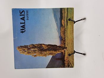 Vinyle 45 tours Valais Suisse avec fourreau