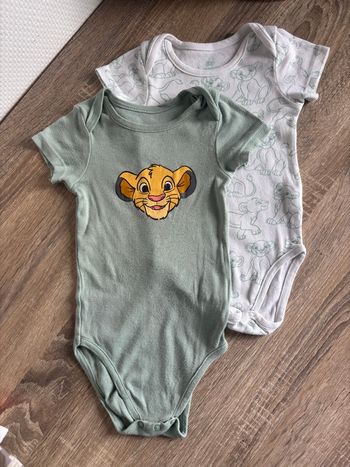 Lot bodies simba