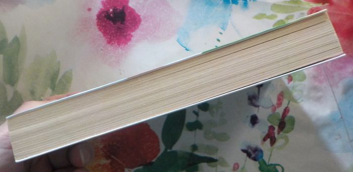 A perte de vue par Aurélie Dauvin Ed. France Loisirs - photo numéro 4