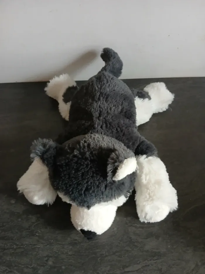 Husky - photo numéro 2