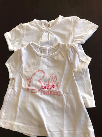 Lot de 2 tee shirt manche courte