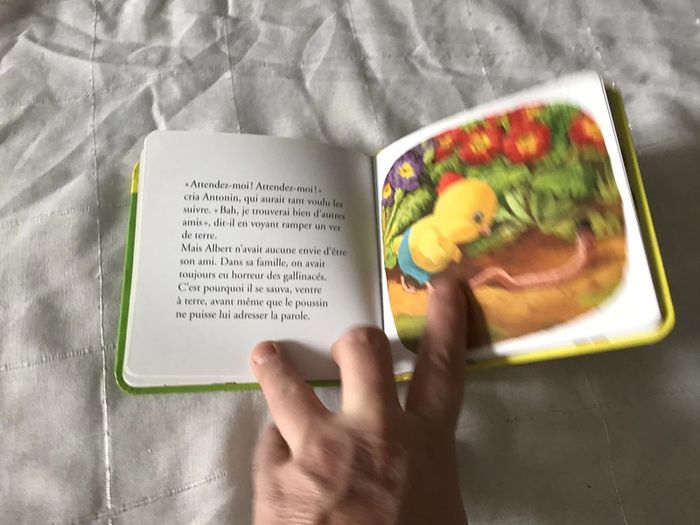 Petit livre Antonin le poussin - photo numéro 3