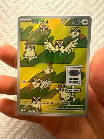 carte roucool 207 197 flammes obsidiennes