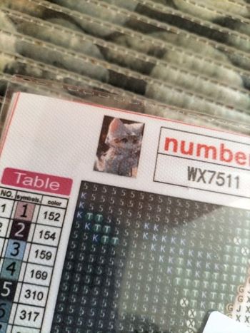 🎨Diamond Painting - Chaton sous la pluie 🎨