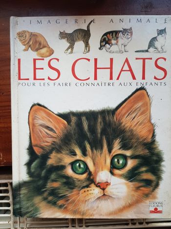 Livre intitulé " les chats "